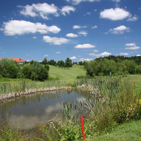 Anetseder Landhotel & Lofts Thyrnau Kültér fotó