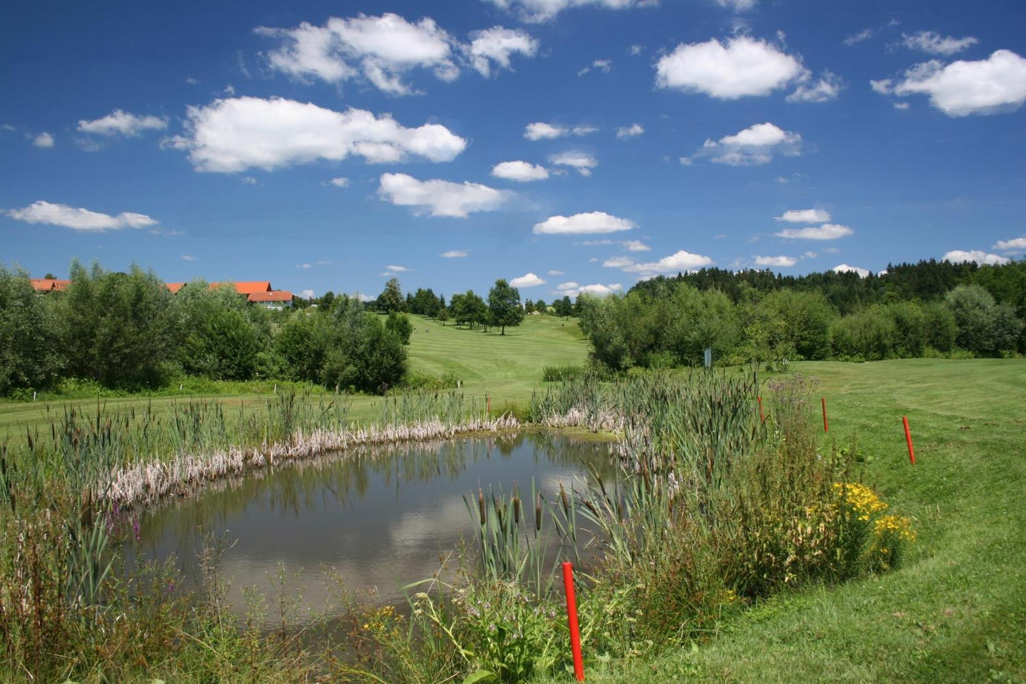 Anetseder Landhotel & Lofts Thyrnau Kültér fotó